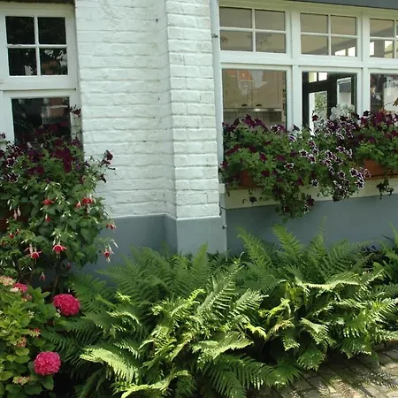 Bed & Breakfast Le Maquis 2*